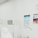 레푸스 앤 두두네일 이미지