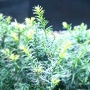 서래로5길 107 이미지