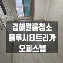 블루시티트리가 이미지