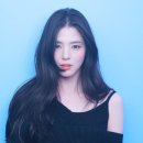 앨리헤어 이미지