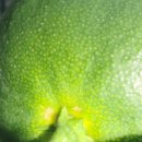 남희농장 이미지