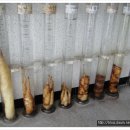 오주농장 이미지