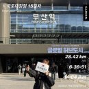 투썸플레이스(부산백양대로점) | [드디어 마지막,,!!] 2025.11.23 국토대장정 서울에서 부산까지 15일차 (김해 ➡️ 부산 28km)