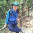 통큰딱다구리 이미지