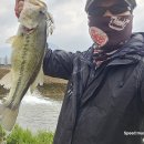 청도천6 이미지