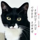 피자나라버거공주 이미지