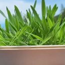 여수잡곡영농조합법인 이미지