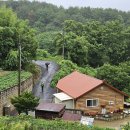 대전둘레산길(5구간) 이미지