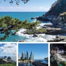 해맞이 관광안내소 이미지