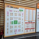 마이캣 | 2026 송도 마이캣페어 : 직접 다녀온 후기