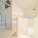 하나동물종합병원 이미지