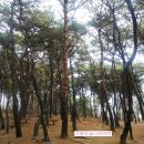 노적산농장 이미지