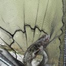 우지낚시터 이미지