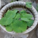 연테크