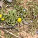 승준농장 이미지