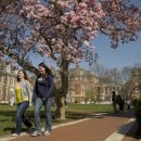 메디존스 이미지