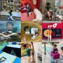 신갈고등학교 | 용인 경기도어린이박물관 여름방학 광복절 특별교육 참여 후기