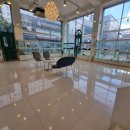 펫블리강아지&미라클고양이 이미지