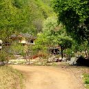 문배골 캠핑장 이미지