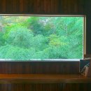 산새소리유치원 | 부산 영도 청학동 도심 속 싱그러운 숲속뷰 카페 신기숲