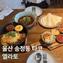 울산송정이유집 | [울산 송정동 타코집] '엘라토 송정점' 내돈내산 후기