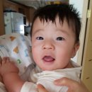 김윤우 카카오 검색결과