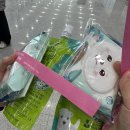 명진켄넬 | [펫페어] 유에코 박람회 울산 펫페어 다녀온 후기