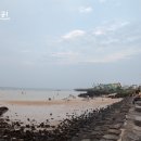 강해일횟집 | 표선해변 맛집 강해일횟집 기가 막히구먼♪