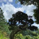 이문영 행정사사무소 이미지