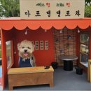 교하제면소