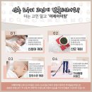 크로커다일호계동 | 안양산후도우미 이레아이맘 안양지사 추천
