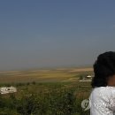 부서농장 이미지