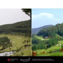 온그린골프&스크린 이미지