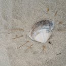 다대포어린이집 이미지