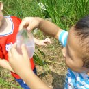 숲소리어린이집 이미지