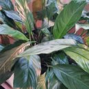 길두농장 이미지