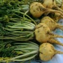 성대농장 이미지