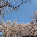 소노벨 경주 이미지