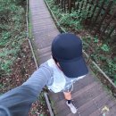 횡단보도 부근 | 숲 속에서 달리는 즐거움! 광릉숲 국립수목원 7코스 산림욕길 러닝 후기