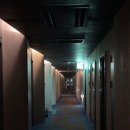 공항 5성급 호텔 네스트호텔 - 야외수영장, 버블파티, 호텔 이용후기, 저녁은 교촌콤보반반, 공항셔틀OK