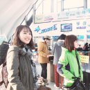 배타고 떠나는 일본여행 고고씽 이미지