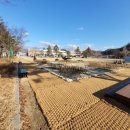 행복한 꿈을 꾸는 이미지