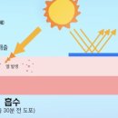 블루밍뷰티 - 구례군 로터리길 15 | 블루밍뷰티