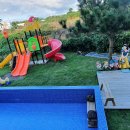 나무앤씨 키즈 이미지