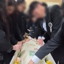 대청병원 티스토리