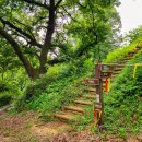 냉천삼거리 이미지