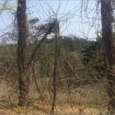 울진군근남면진복보건진료소 이미지