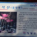 영광사 이미지