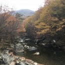 무주김밥나라 이미지