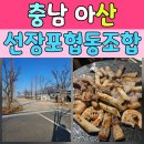 선장식자재마트
